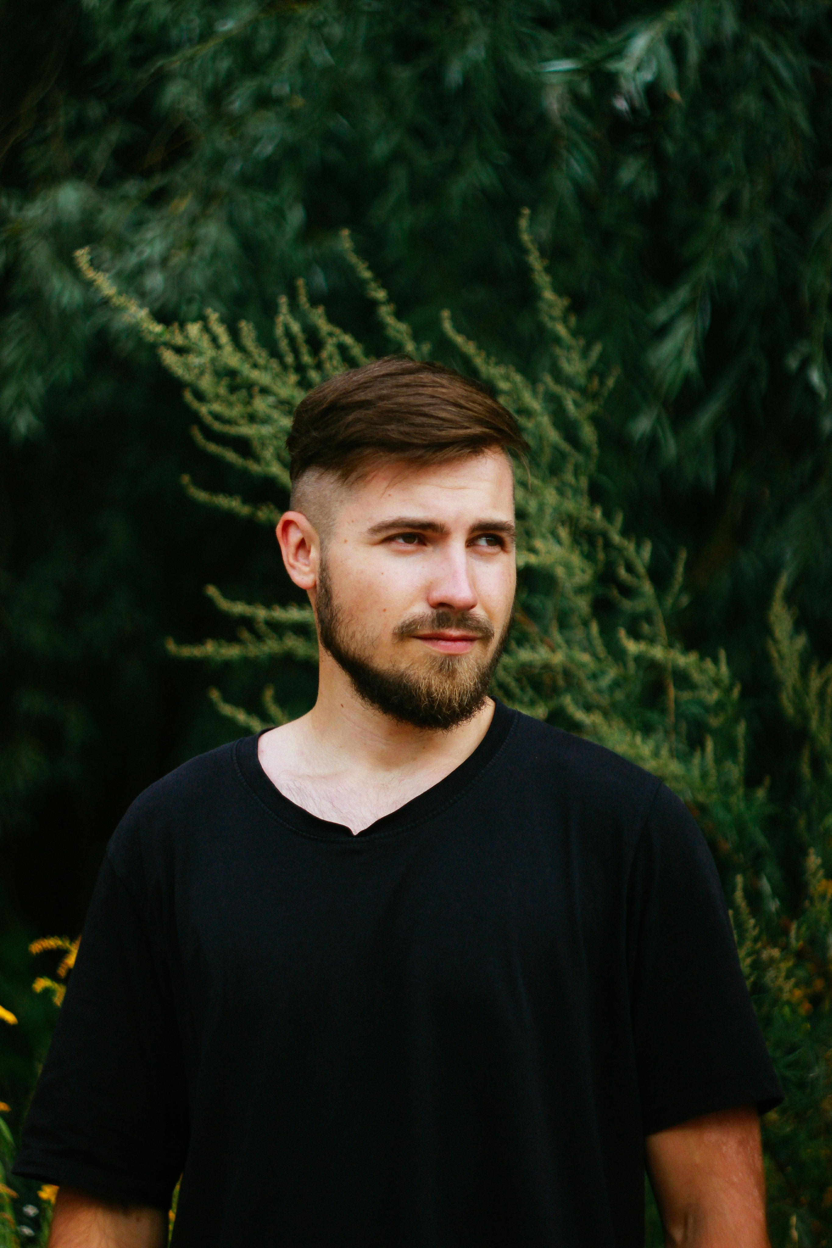 Michael J. (Homeowner, San Diego, CA)